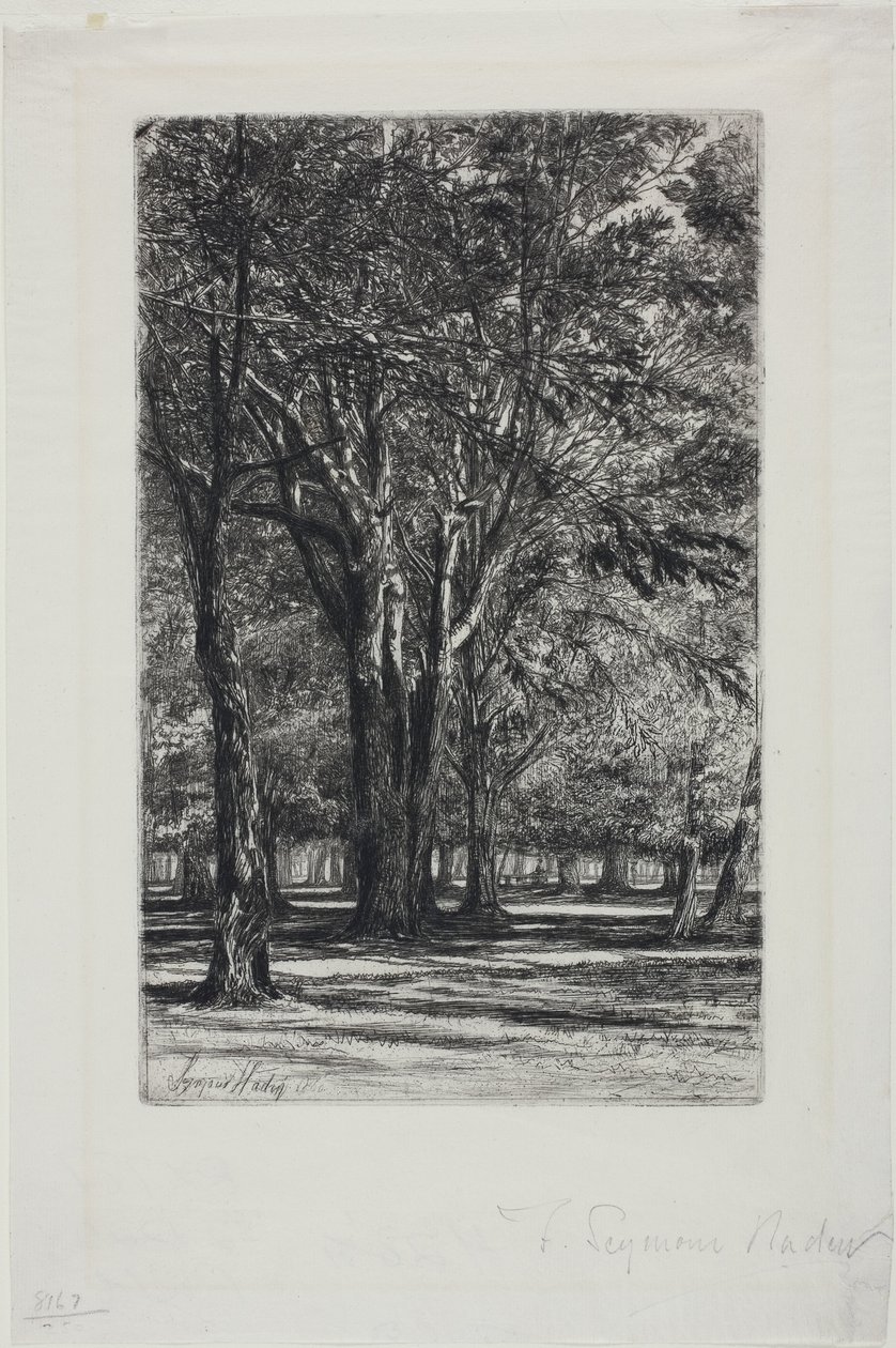 Kensington Gardens, No. II (placa grande) de Francis Seymour Haden