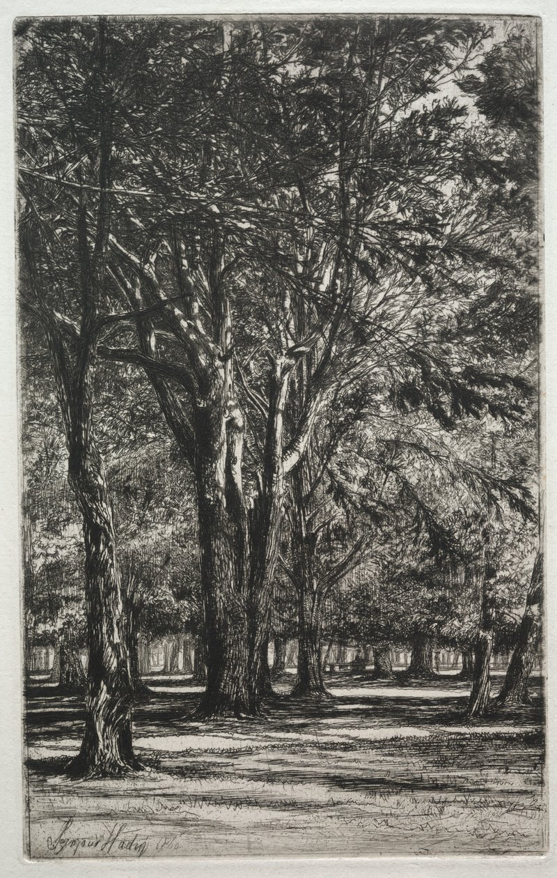 Jardins de Kensington a grande placa, 1860. de Francis Seymour Haden