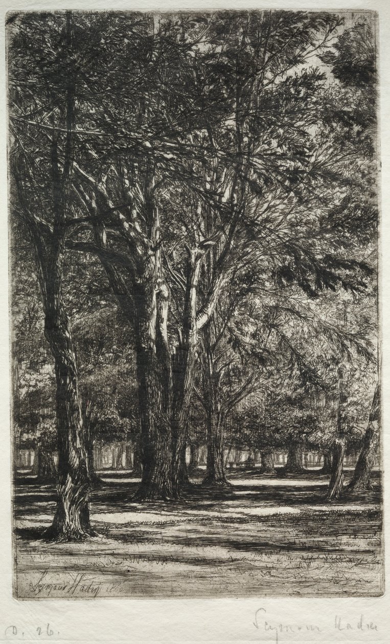 Jardins de Kensington A Placa Maior, 1860. de Francis Seymour Haden