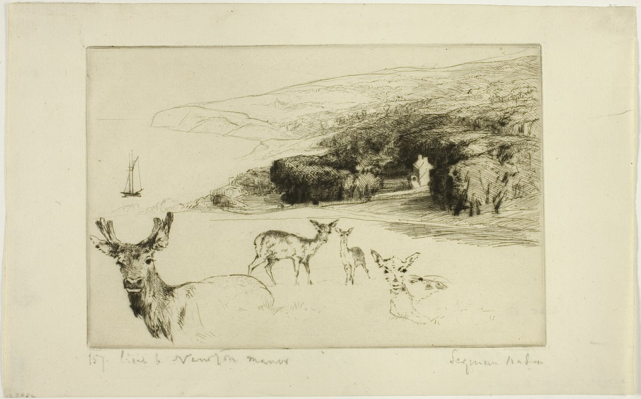 Mansão Newton de Francis Seymour Haden