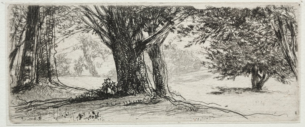 O campo de azevinho de Francis Seymour Haden