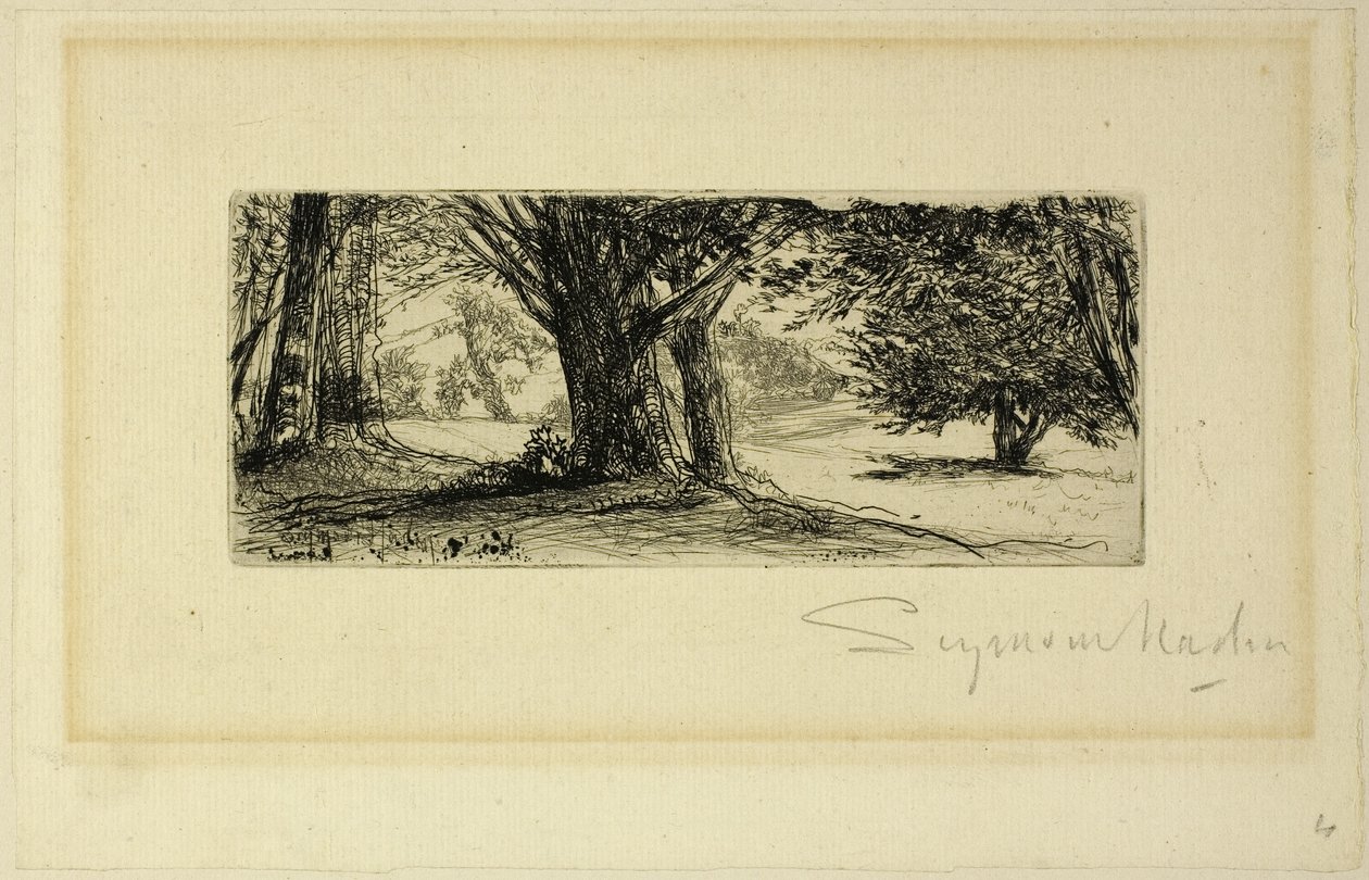 Os campos de azevinho de Francis Seymour Haden