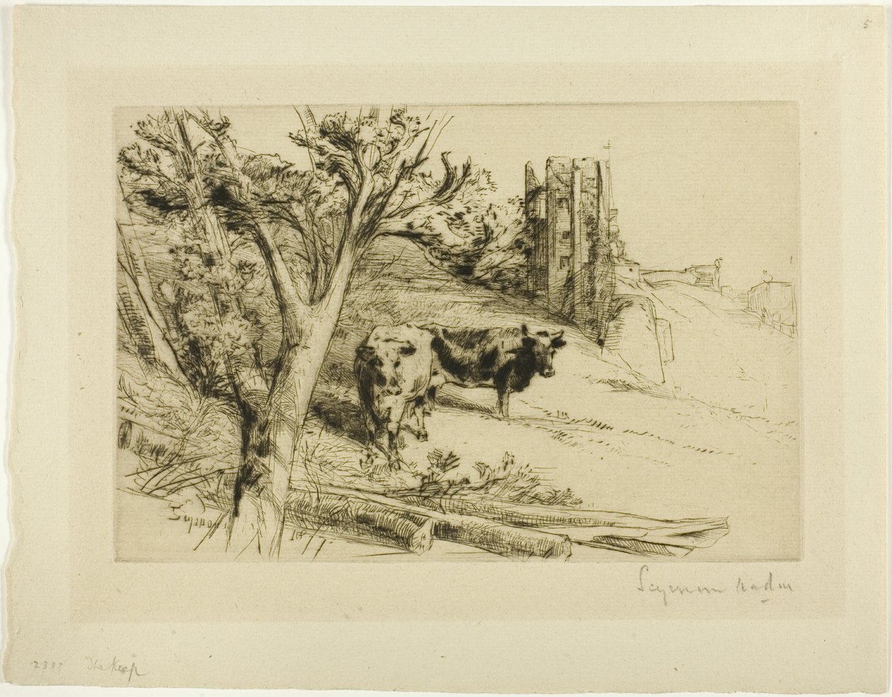 A Fortaleza de Francis Seymour Haden