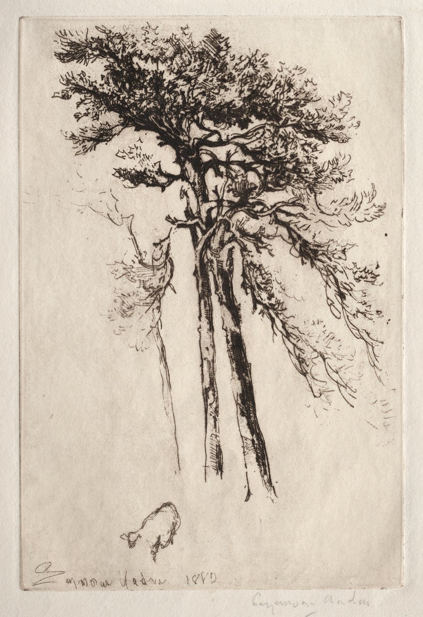 A última árvore de Francis Seymour Haden