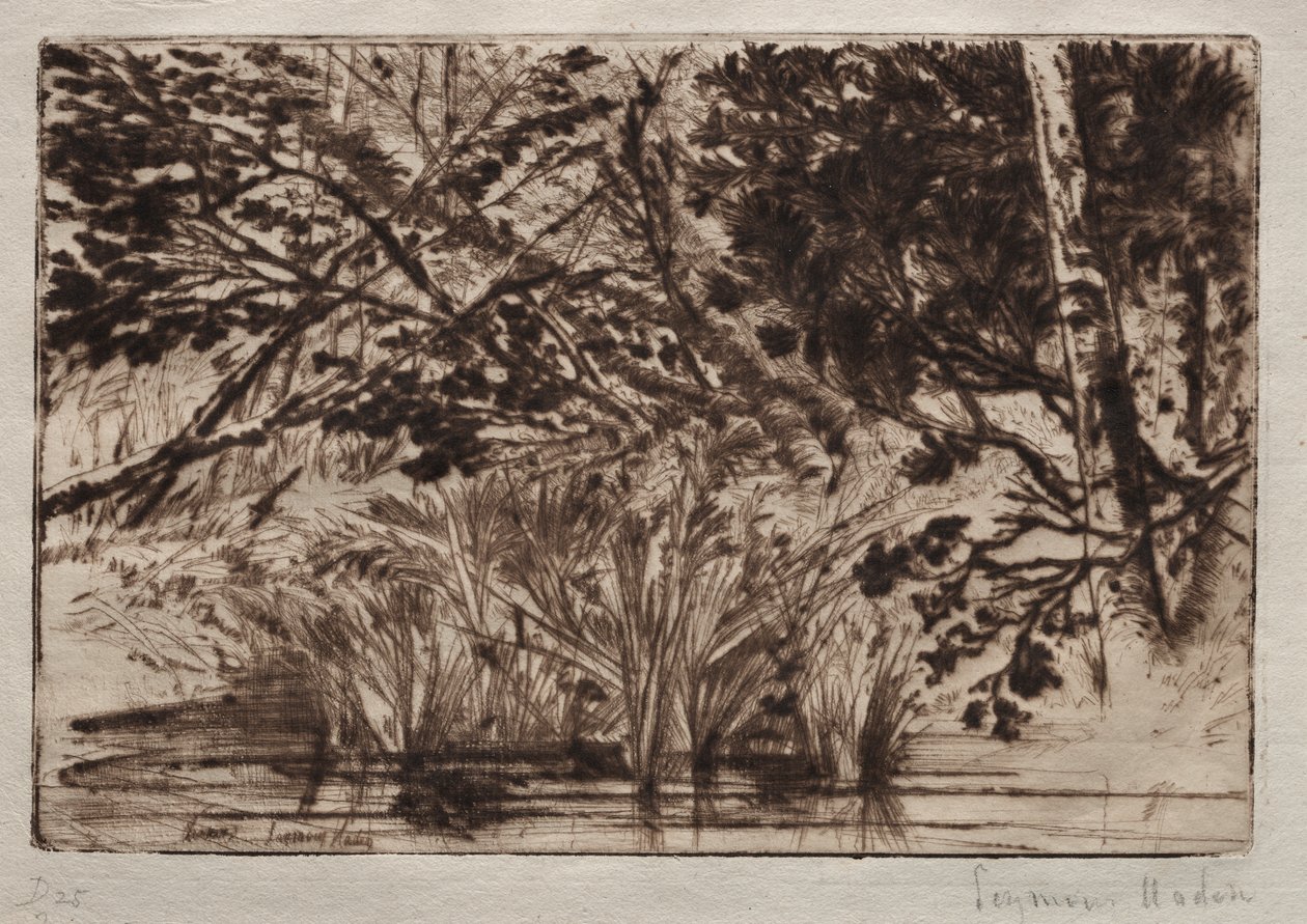 A boca de um riacho (segunda placa) de Francis Seymour Haden