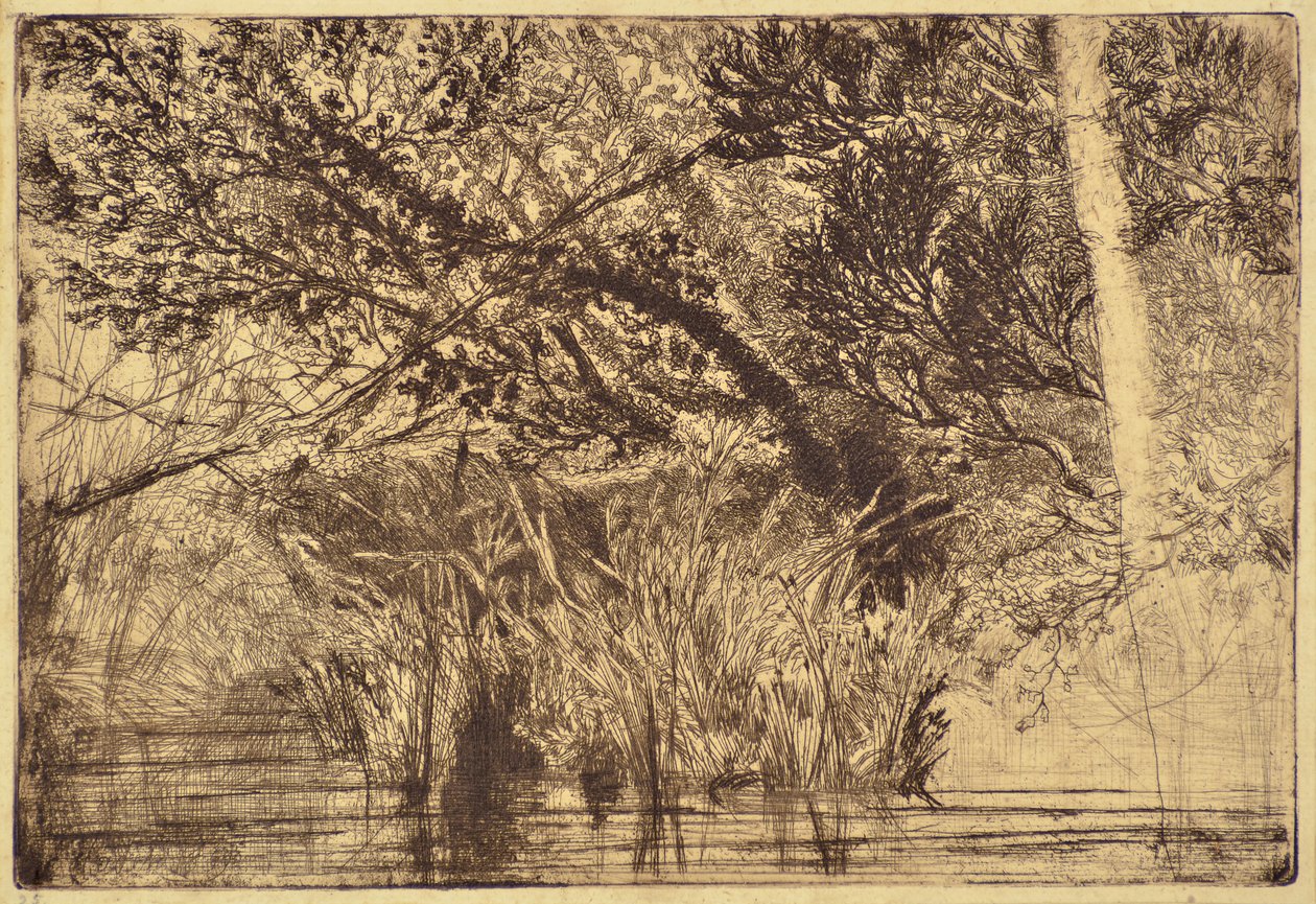 A boca de um riacho No.1 de Francis Seymour Haden