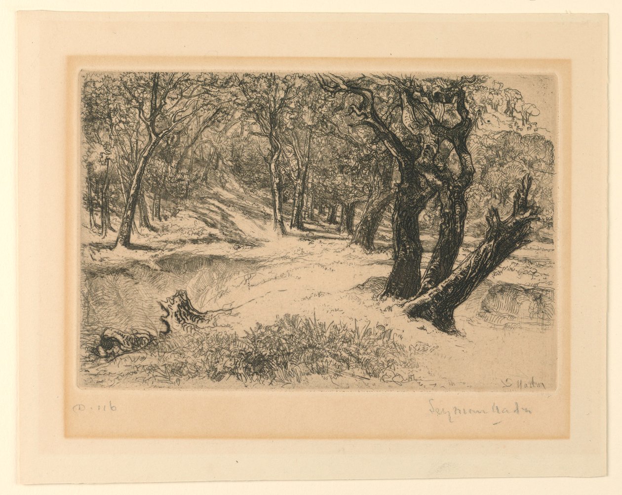 As três irmãs de Francis Seymour Haden