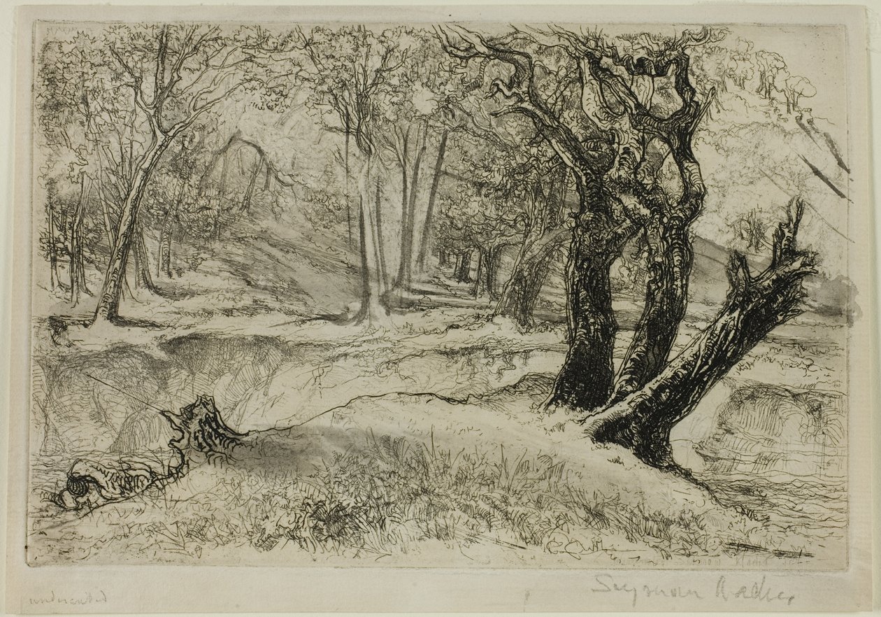 As três irmãs de Francis Seymour Haden