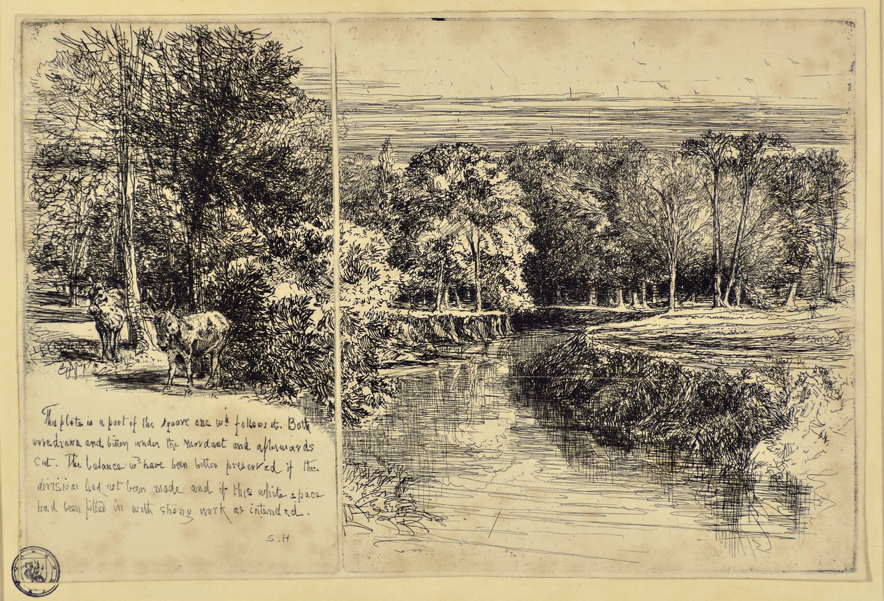 Os dois asnos e o rio Dundrum de Francis Seymour Haden