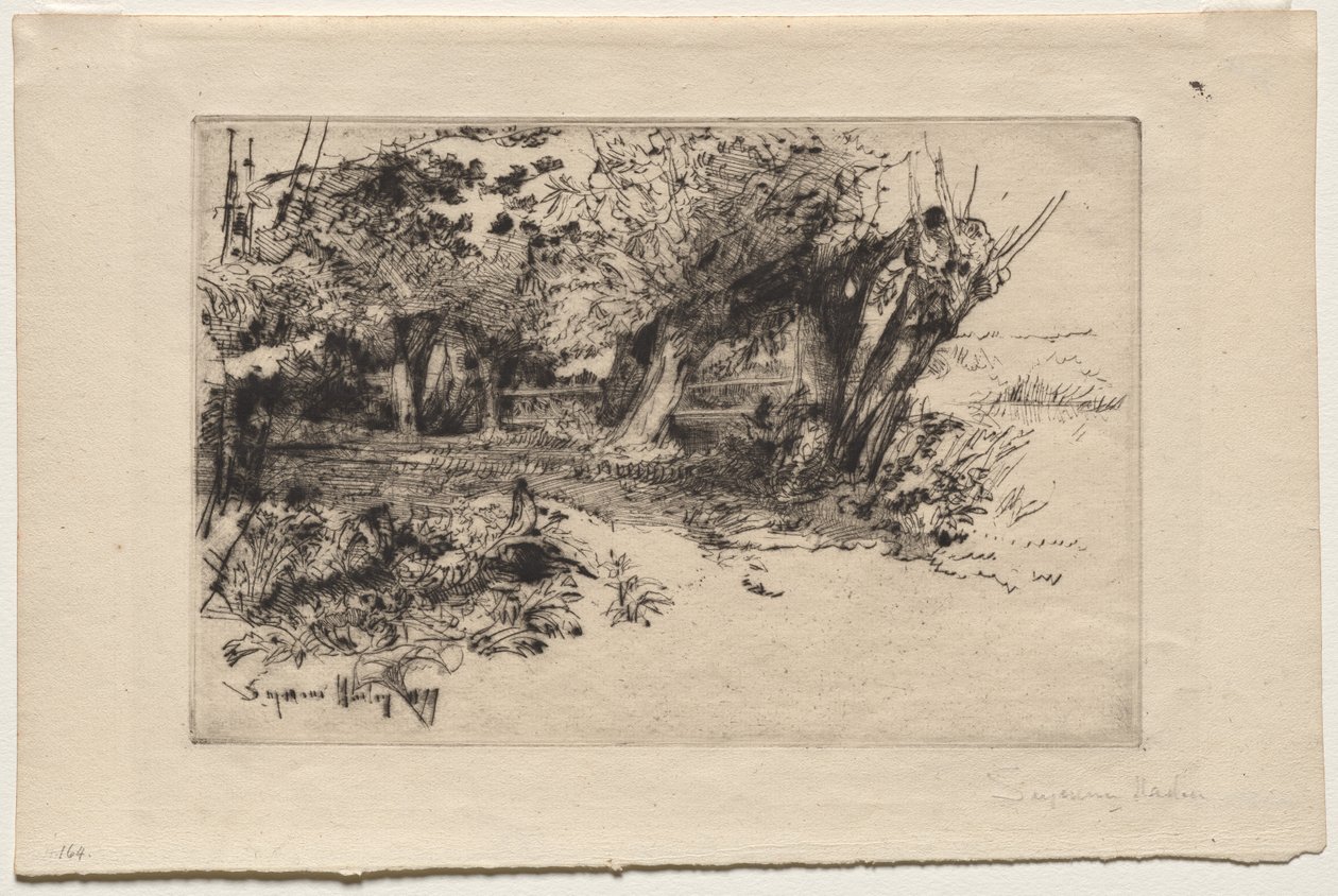 Os Salgueiros de Francis Seymour Haden