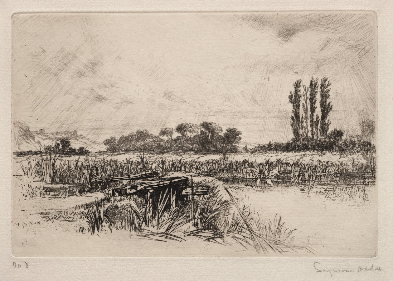 Prado da água, 1859. de Francis Seymour Haden