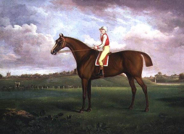 Jockey Up de Francis Towne