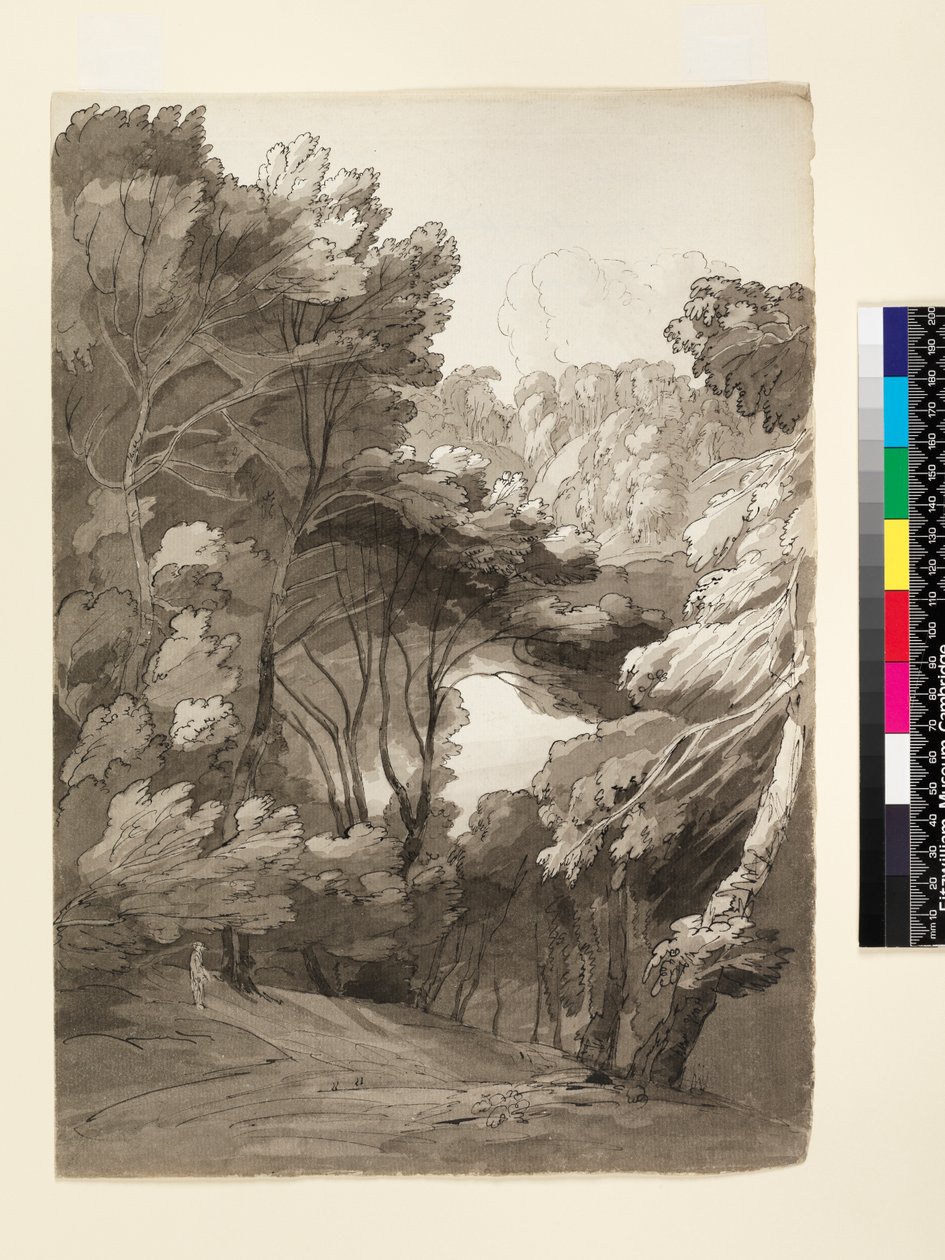 No.1093 Uma paisagem arborizada, 1788 (tinta e lavagem no papel) de Francis Towne