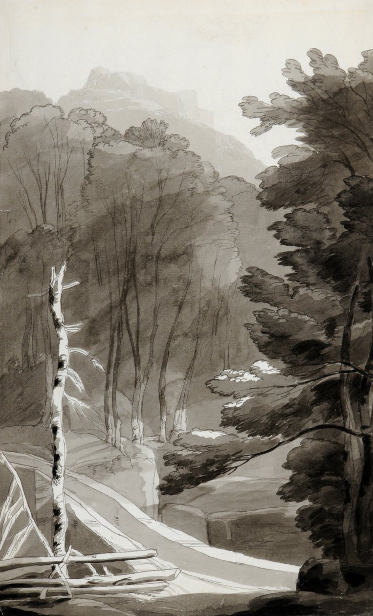 Panten Bruck de Francis Towne