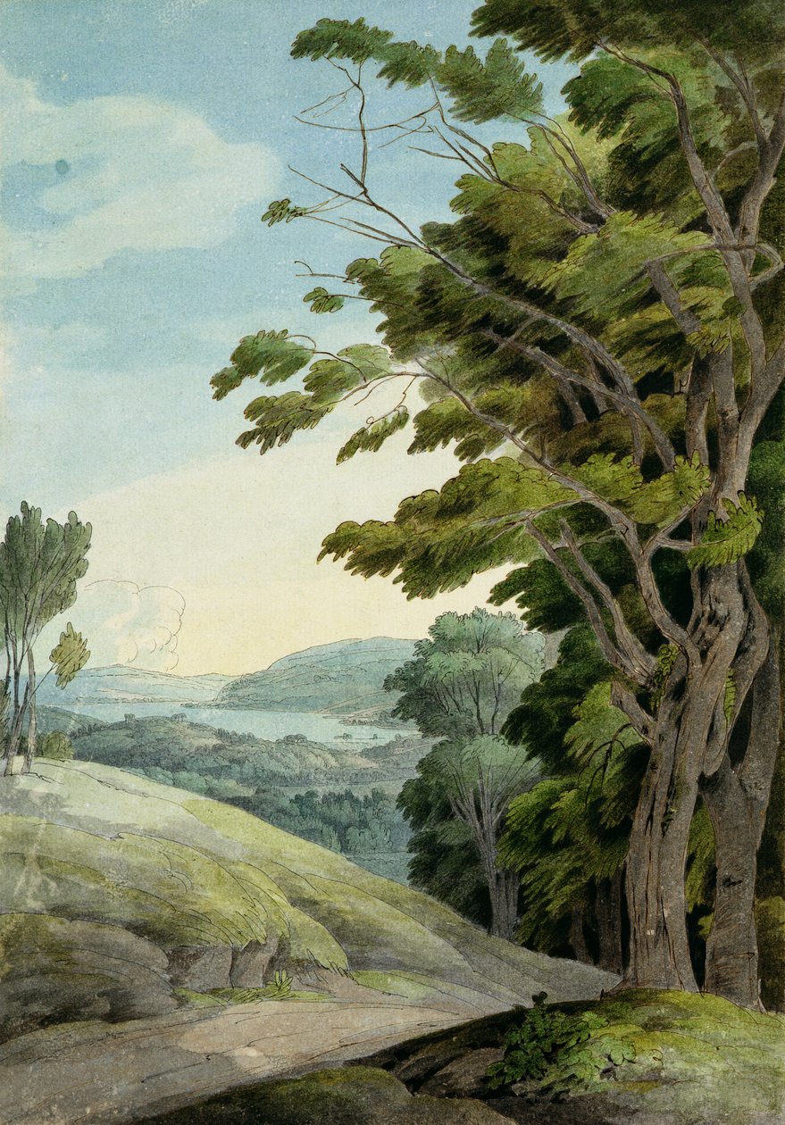 Vista do Parque Rydal (caneta e tinta e aquarela sobre papel) de Francis Towne