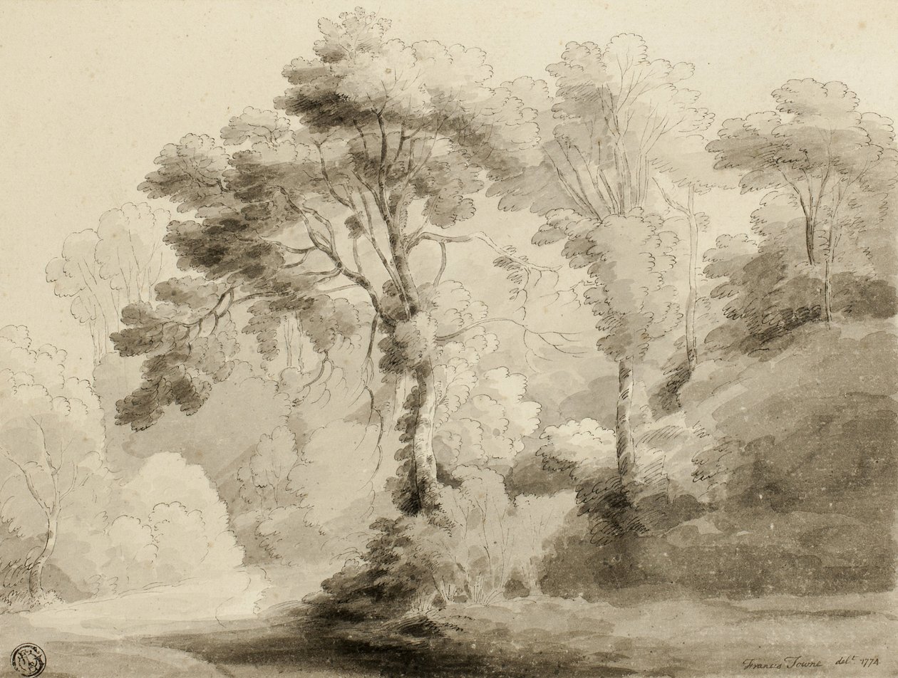 Paisagem arborizada, 1774 de Francis Towne