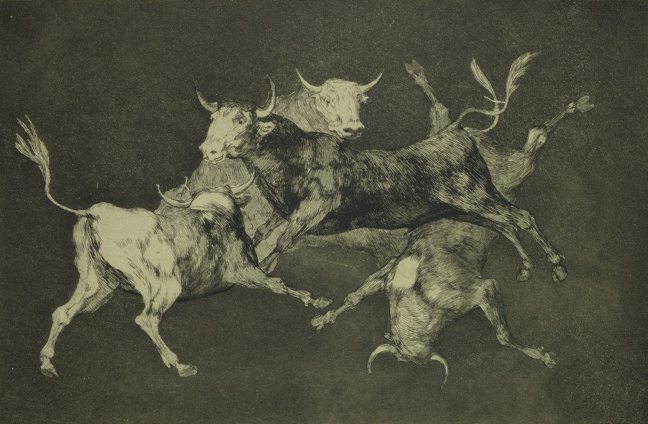 Folly of the Bulls, da série Follies, c.1815-24 (gravura e aquatinta em papel japonês) de Francisco de Goya