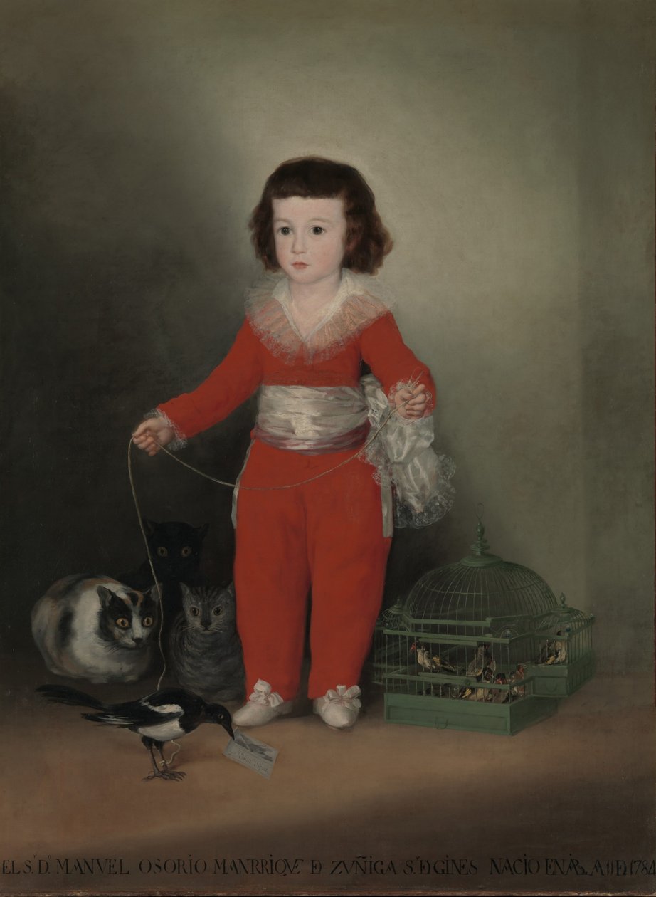 Manuel Osório Manrique de Zuñiga de Francisco de Goya