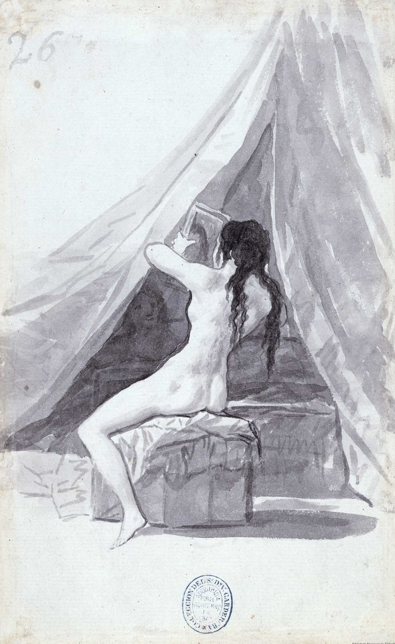 Mulher nua, com, espelho de Francisco de Goya