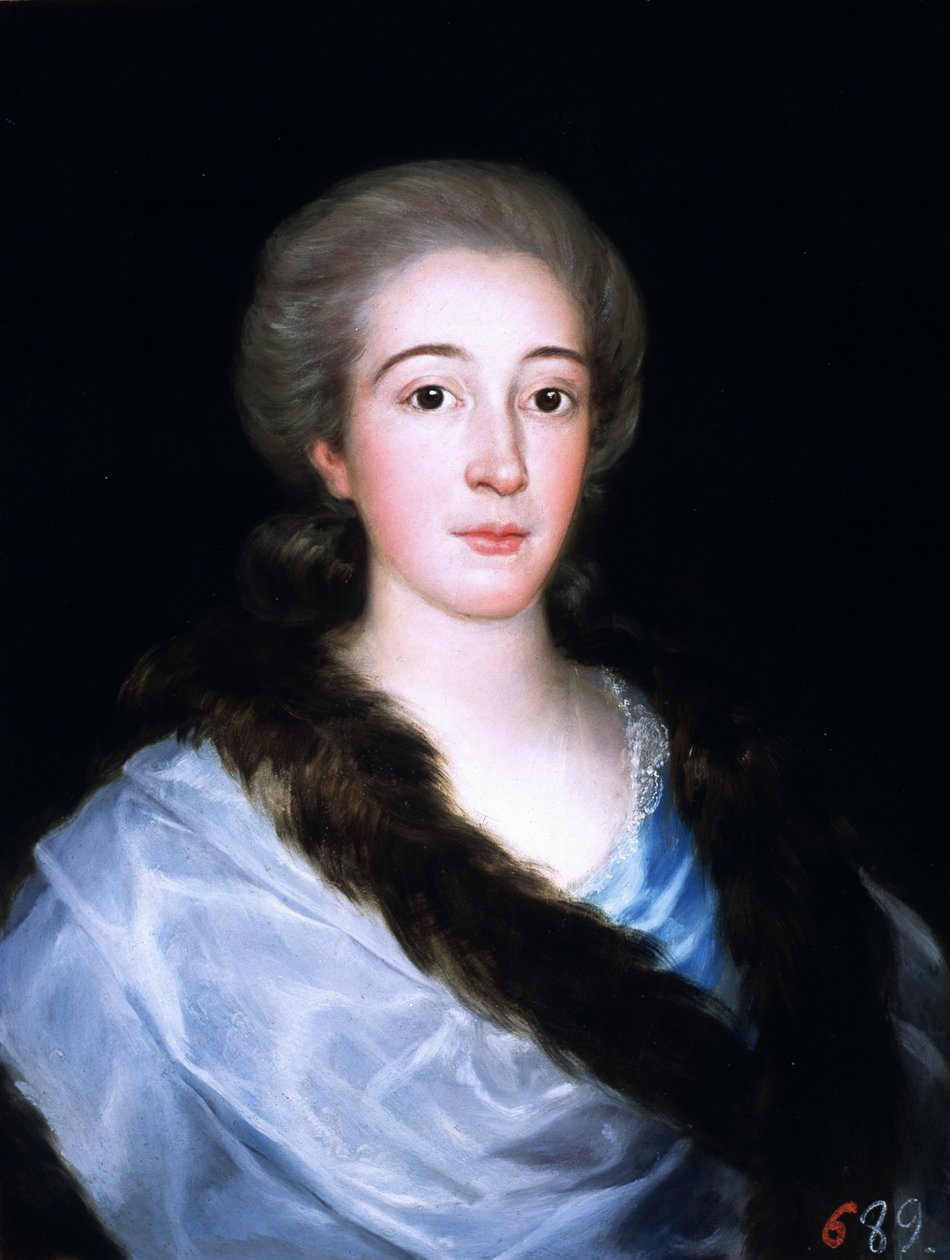 Retrato de Dona Maria Teresa de Vallabriga y Rozas de Francisco de Goya