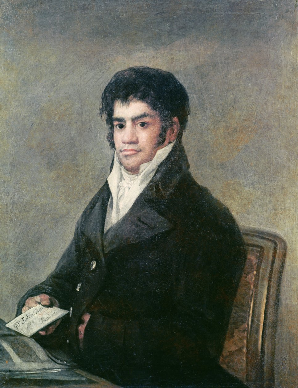 Retrato de Dom Francisco del Mazo, c.1815 de Francisco de Goya