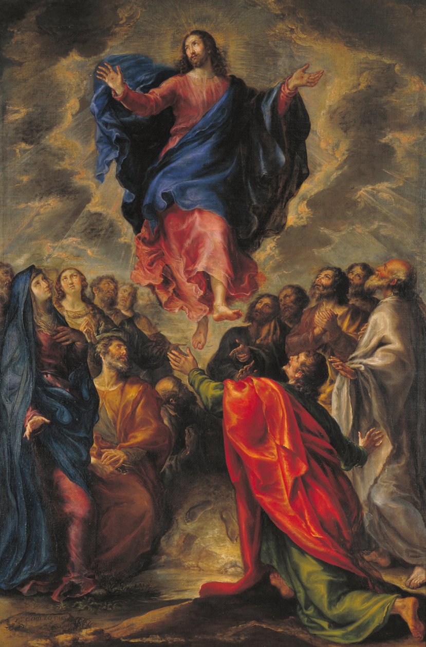 Ascensão de Francisco Camilo