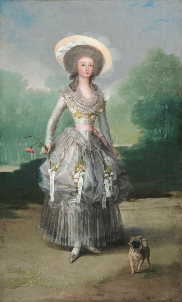 The Marquesa de Pontejos de Francisco de Goya