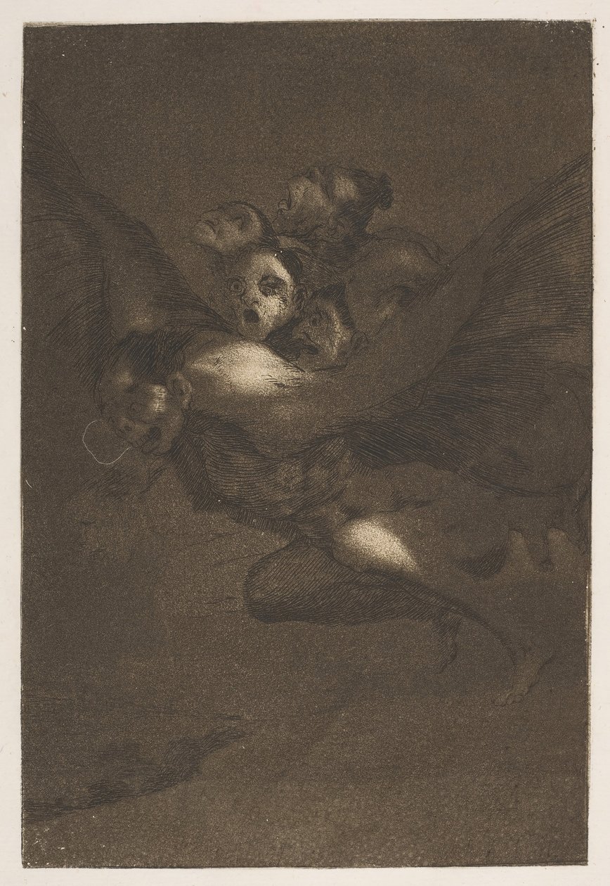 Floresta. de Francisco de Goya
