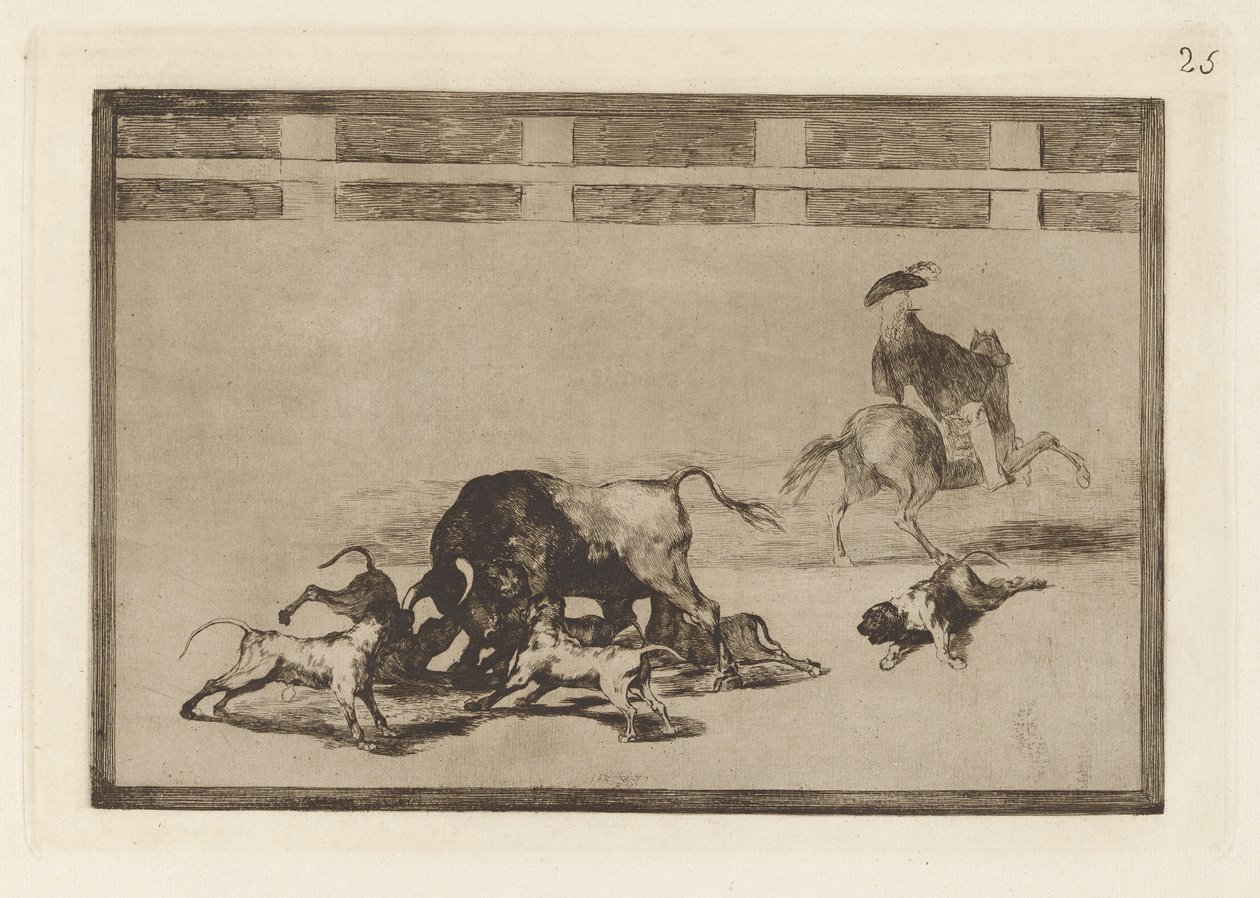 Echan perros al toro (Eles soltam cães no touro), Placa 25 de La tauromaquia de Francisco de Goya