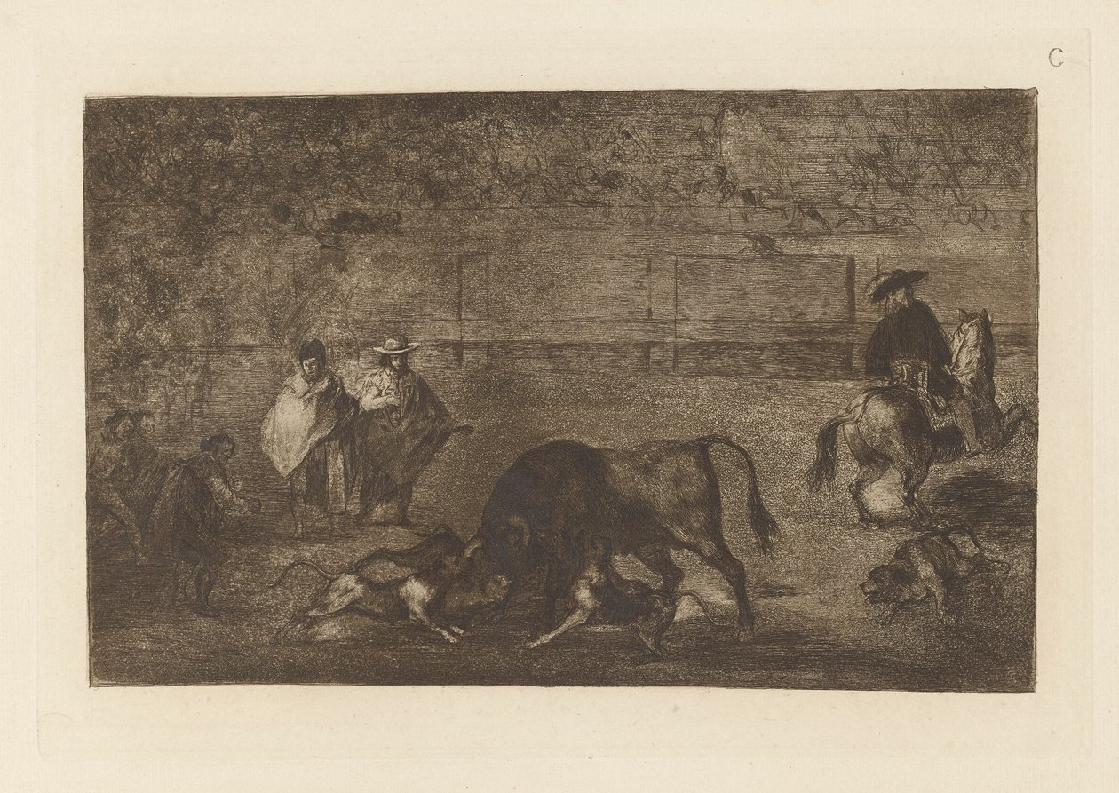 The Dogs Let Loose on the Bull, Placa C de La tauromaquia (terceira edição) de Francisco de Goya