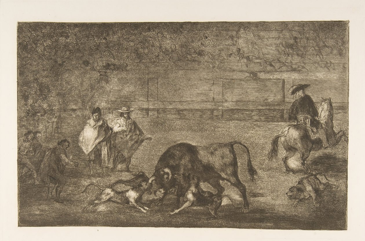 Ilustração C: Os cães se soltam no touro. 1816 de Francisco de Goya