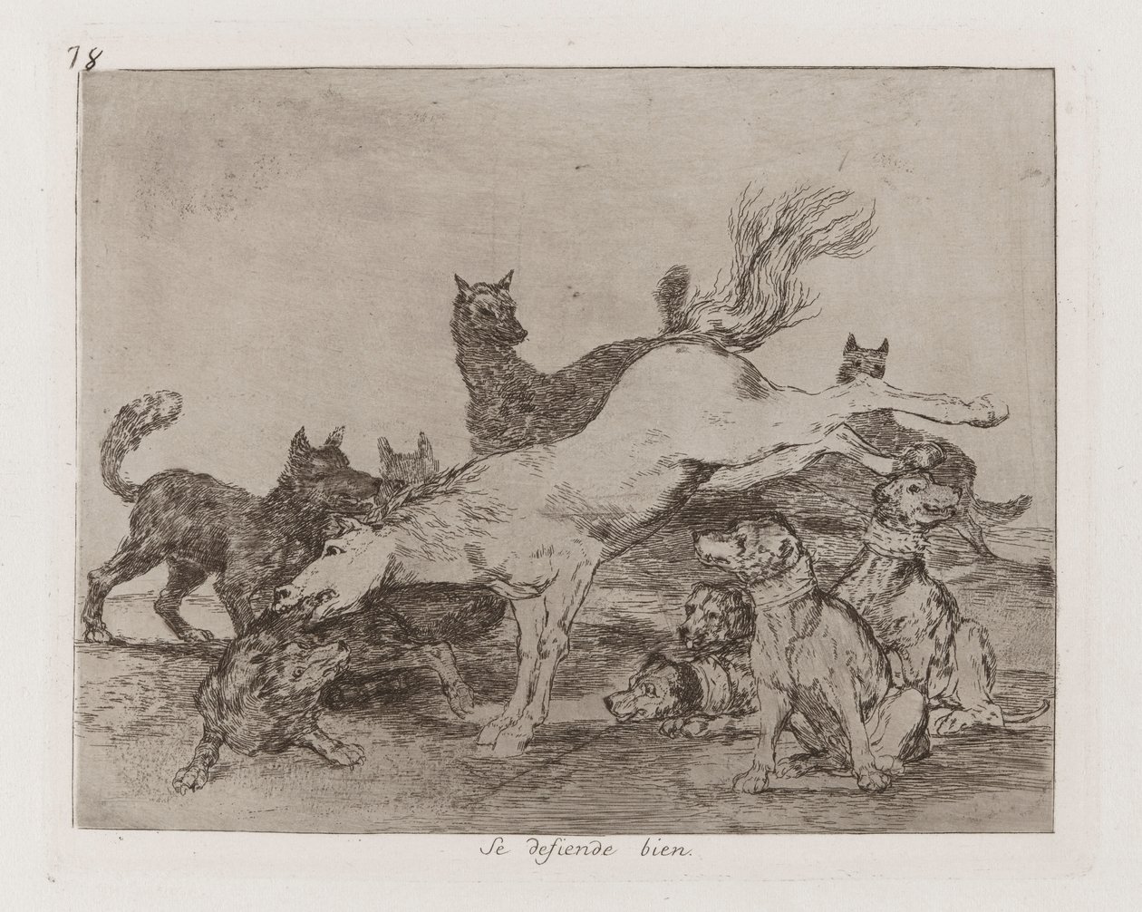 Se defiende bien (Ele Defende-se Bem), Placa 78 de Los desastres de la guerra (Os Desastres da Guerra) de Francisco de Goya