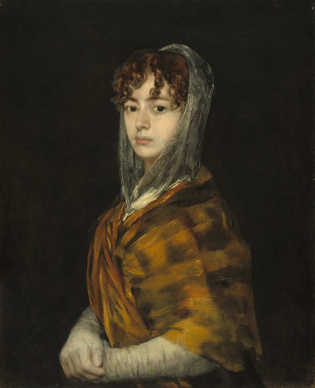 Sra Sabasa Garcia de Francisco de Goya