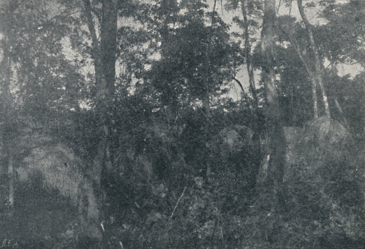 Cabanas de Índios, 1895 de Francisco Henszler