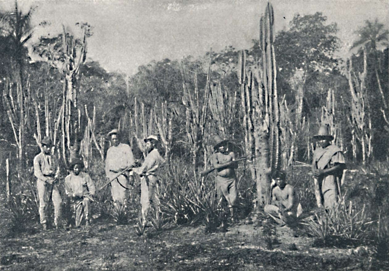 Campos, 1895 de Francisco Henszler