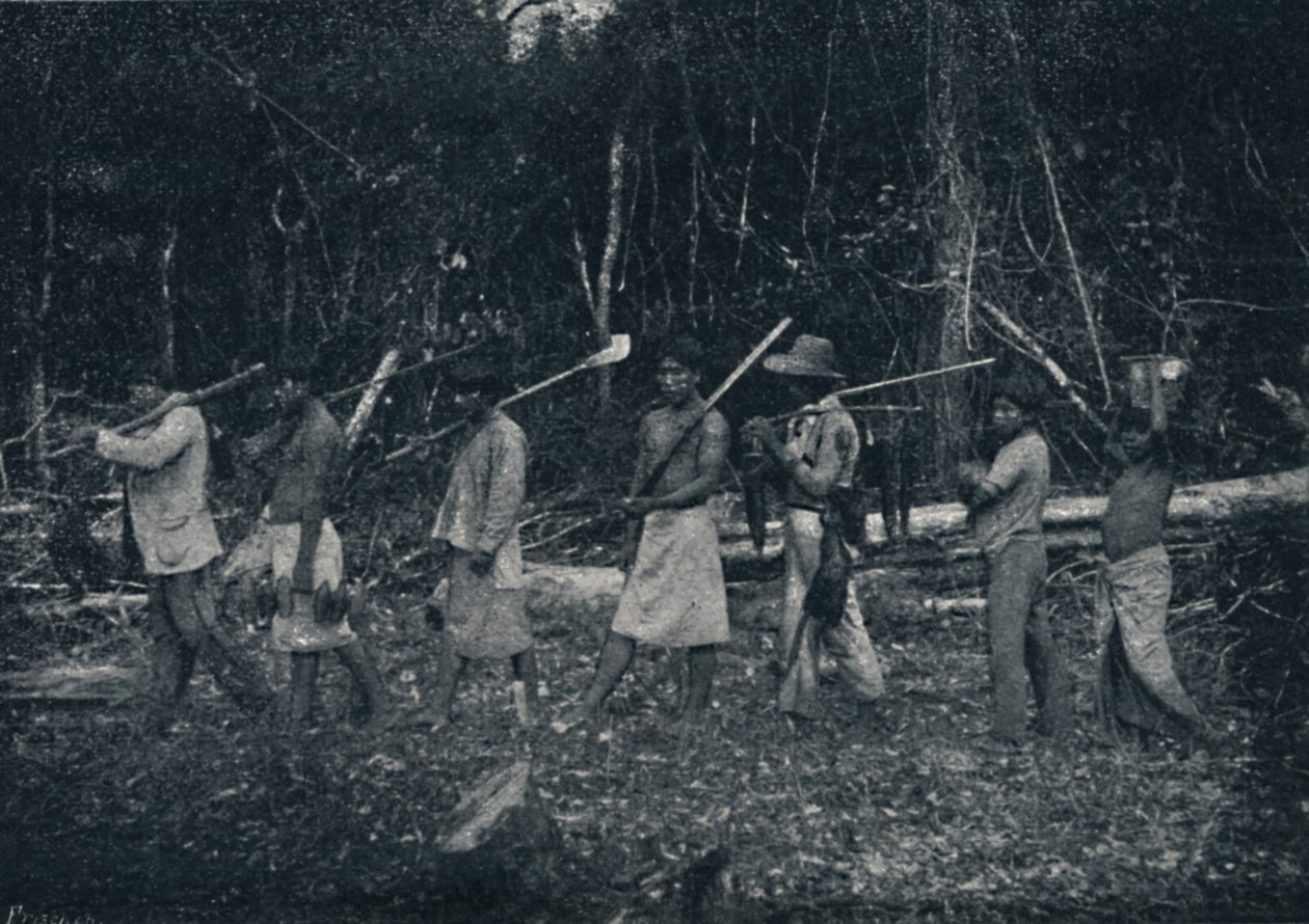 Indios Guaranys, voltando de uma caþada, 1895 de Francisco Henszler