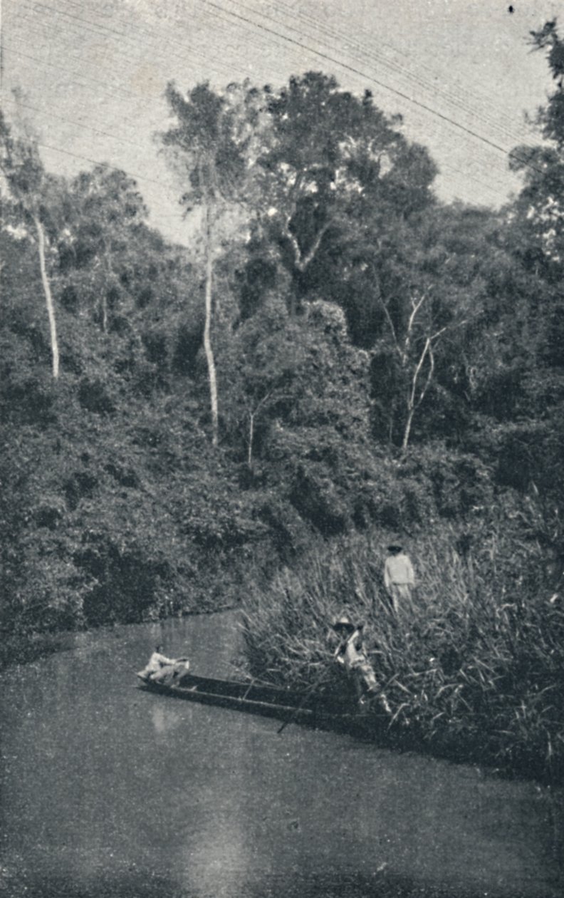 Rio de S. Anastácio, 1895 de Francisco Henszler