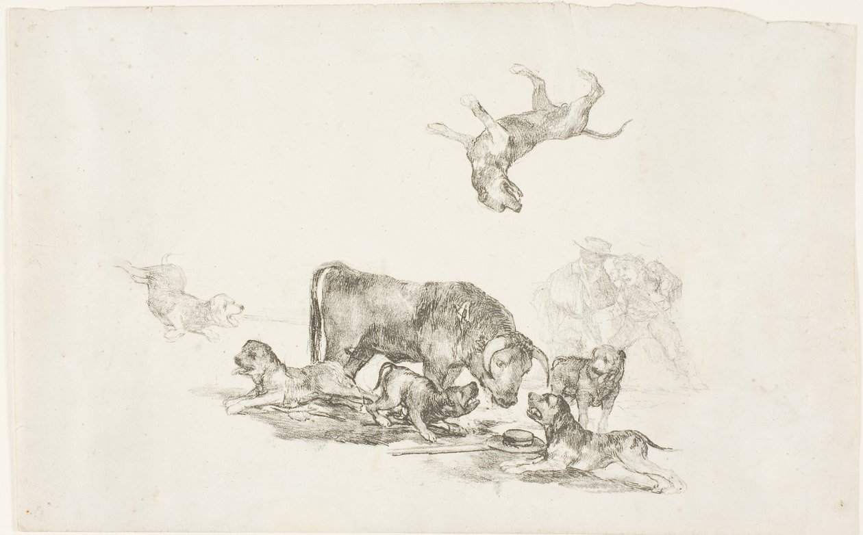 Touro atacado por cães de Francisco Jose de Goya y Lucientes