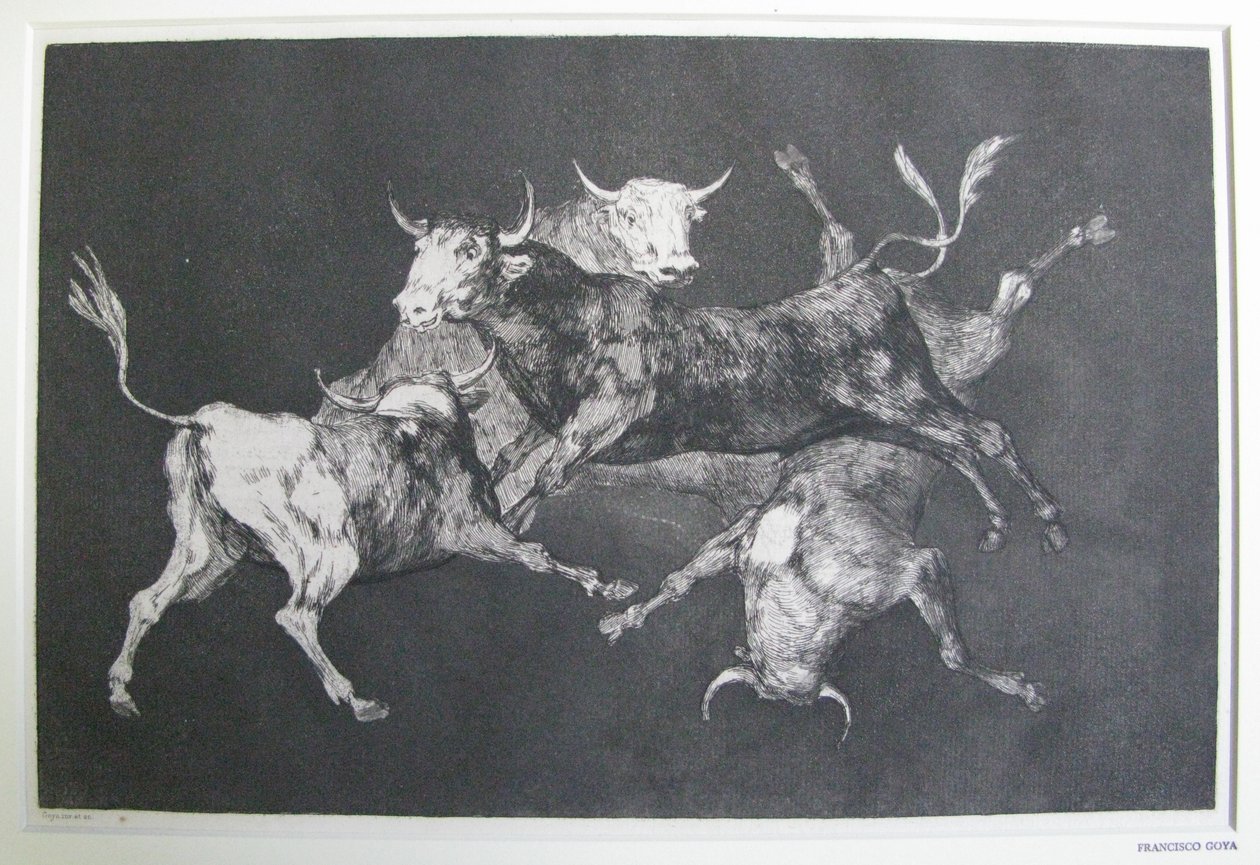Disparate de tontos (Loucura de tolo) de Francisco Jose de Goya y Lucientes