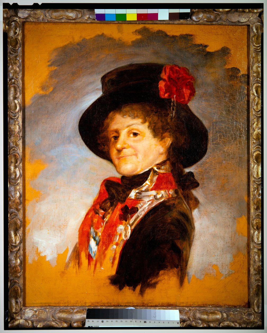 Rainha D. Maria Luísa, c.1799 (óleo sobre tela) de Francisco Jose de Goya y Lucientes