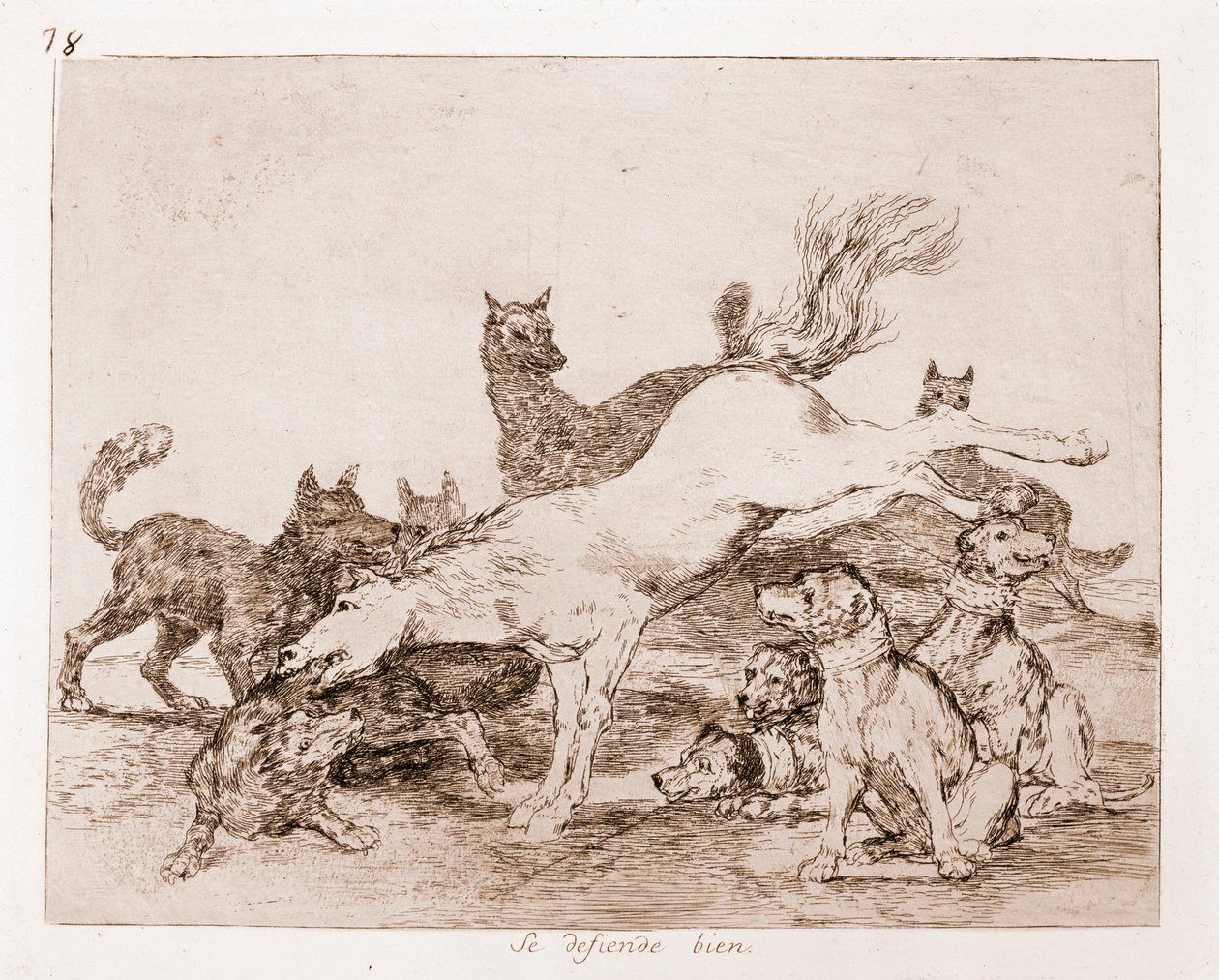 Os Desastres da Guerra : Ele defende bem (gravura do desenho preparatório de Francisco de Goya
