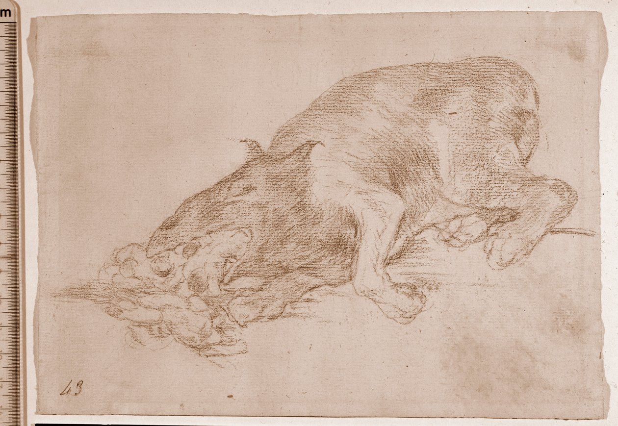 Os Desastres da Guerra : Orgulhoso Monste r! (desenho preparatório de Francisco de Goya