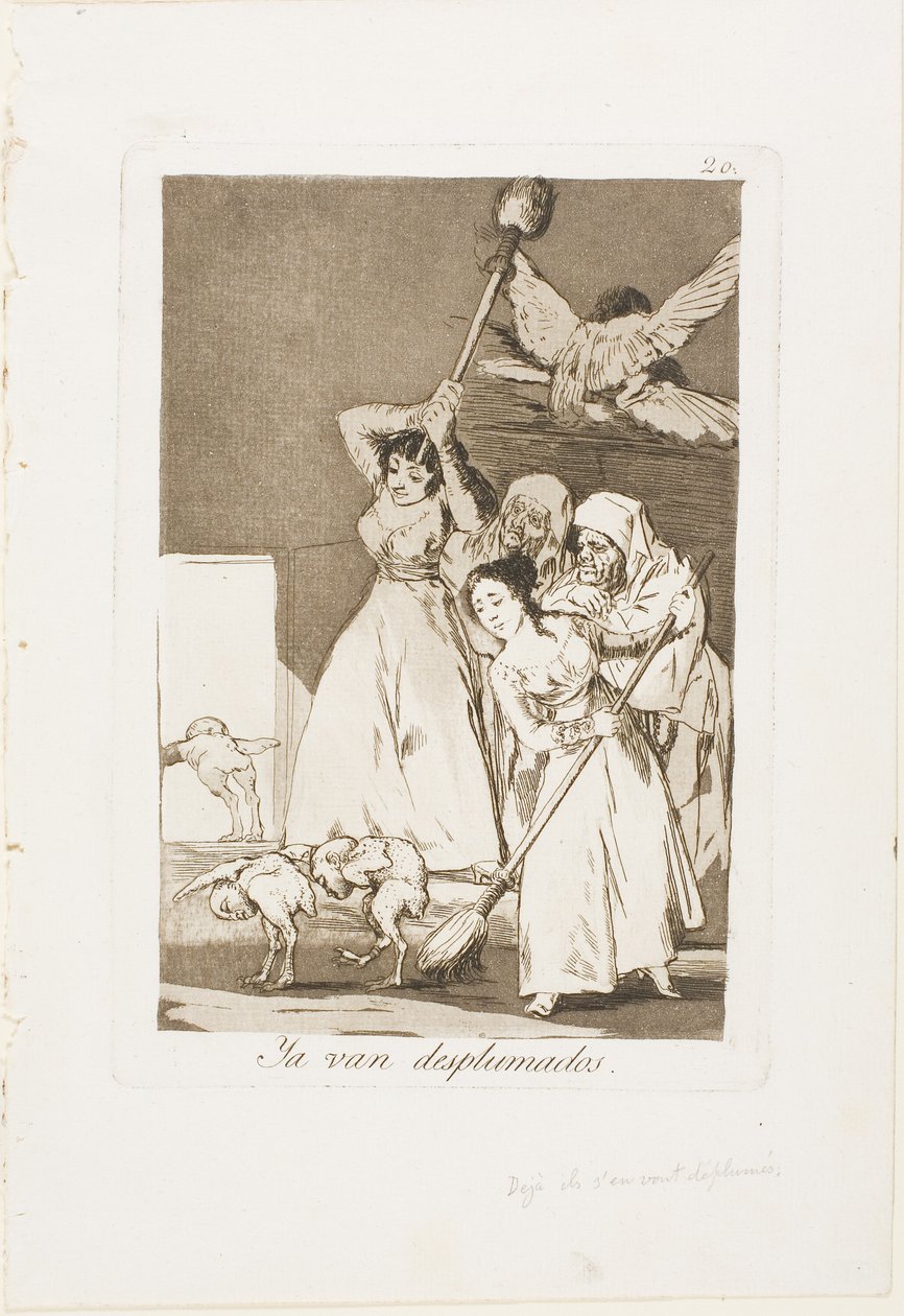 Lá vão eles depenados (ou seja, tosquiados), placa 20 de Los Caprichos de Francisco Jose de Goya y Lucientes