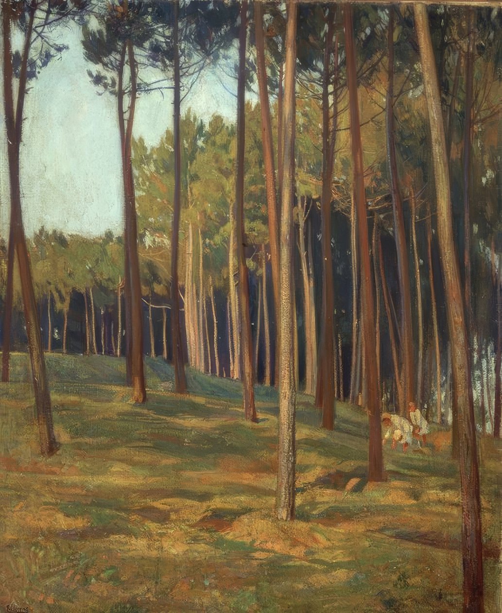 O PINAR VERMELHO de Francisco Llorens Diaz