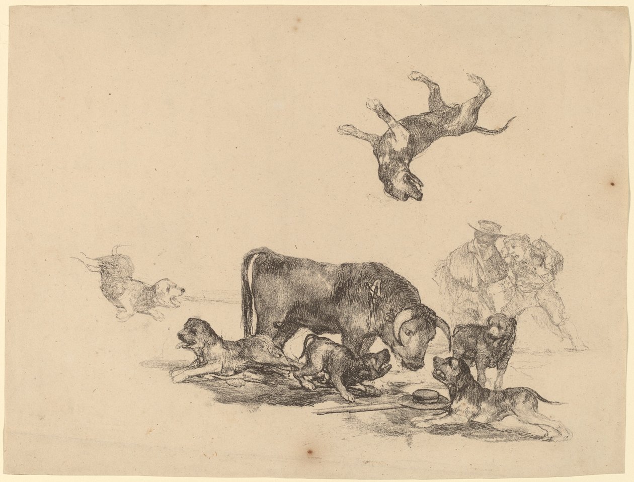 Touro atacado por cães de Francisco de Goya