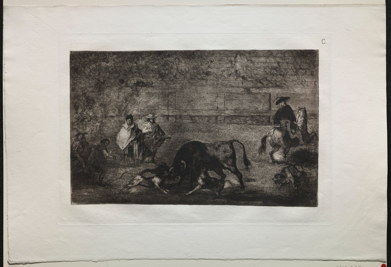 Touradas: The Dog Let Loose on the Bull, 1876. de Francisco de Goya
