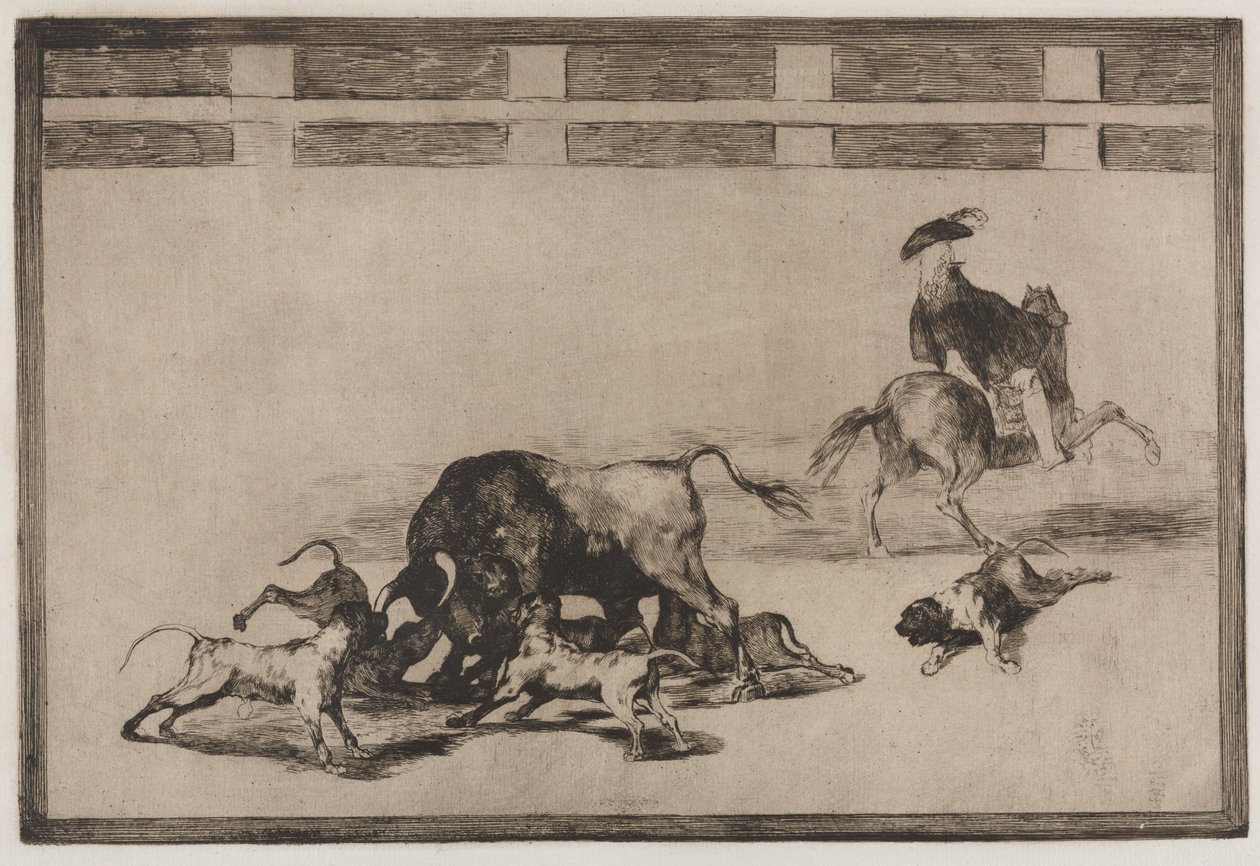 Touradas: eles soltam cães no touro de Francisco de Goya