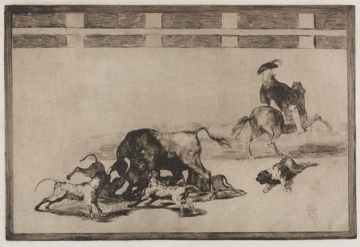 Touradas: eles perdem cães no touro, 1876. de Francisco de Goya