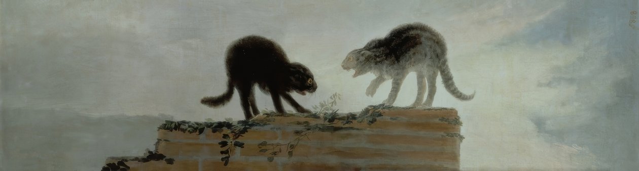Gatos lutando de Francisco de Goya
