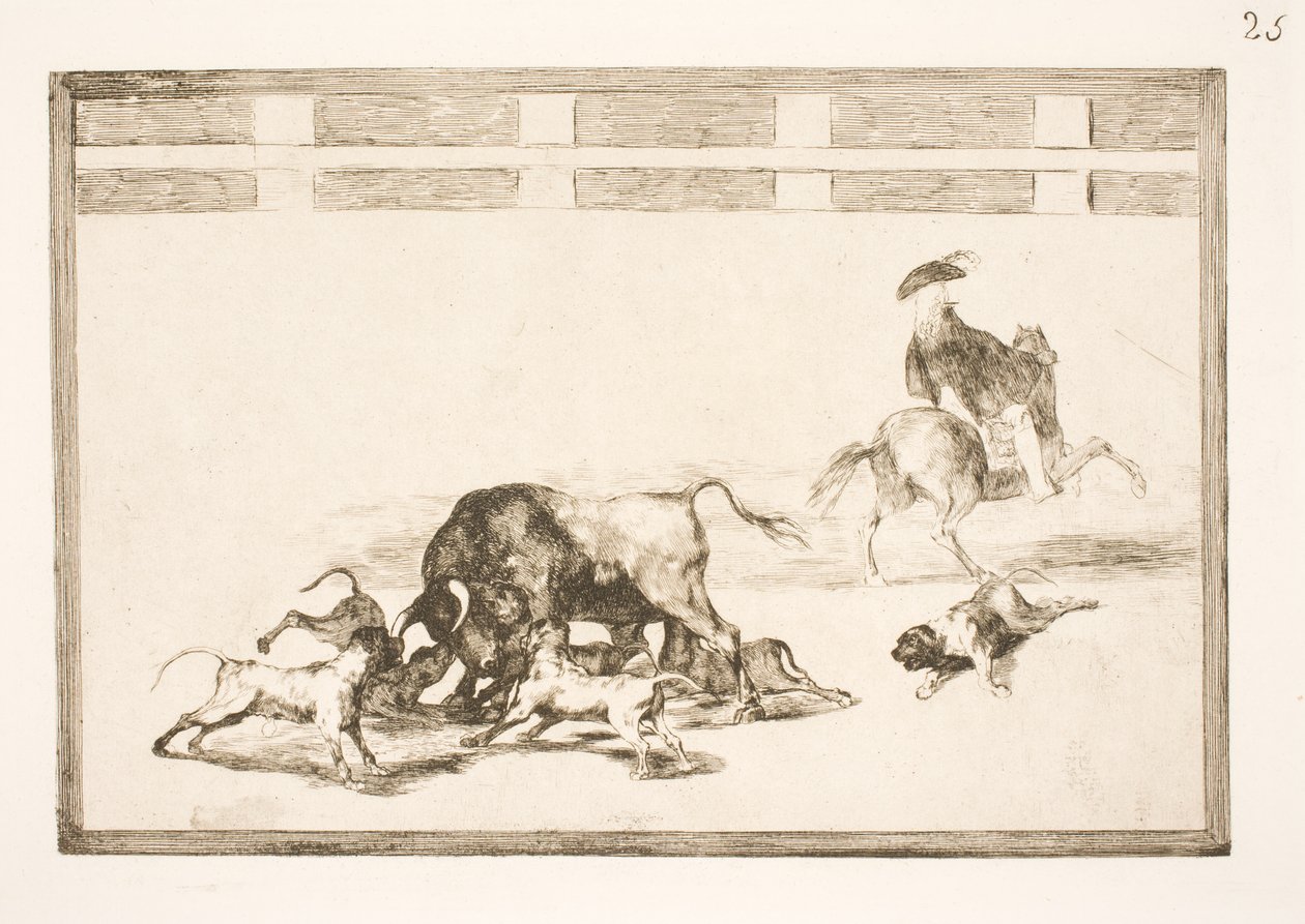 Eles polir os cães no touro de Francisco de Goya